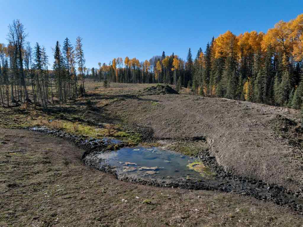 MLS® A2267049 -  5;9;39;23;NE   in NONE Rural Clearwater County, Land