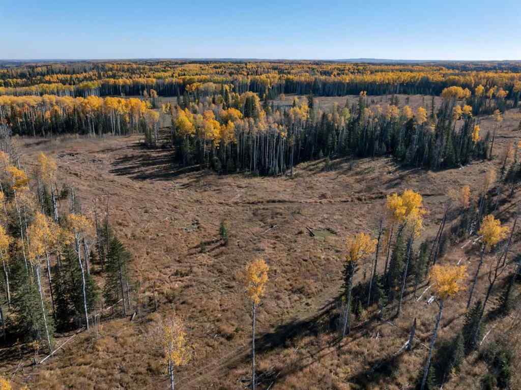 MLS® A2267049 -  5;9;39;23;NE   in NONE Rural Clearwater County, Land