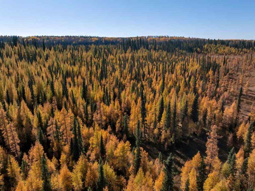 MLS® A2267049 -  5;9;39;23;NE   in NONE Rural Clearwater County, Land