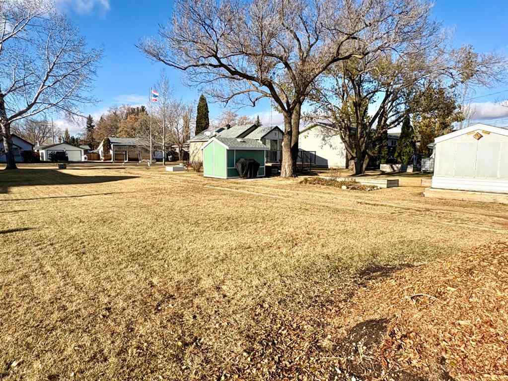 MLS® A2267093 - 216 Sanden Street  in Bawlf Bawlf, Residential