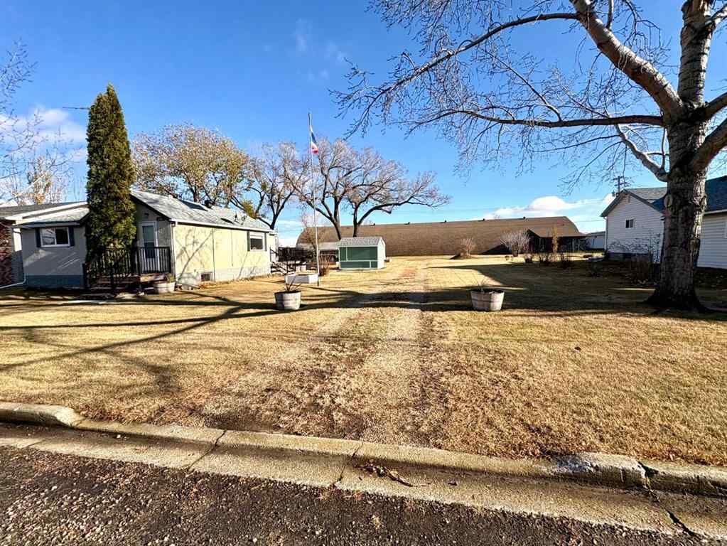 MLS® A2267093 - 216 Sanden Street  in Bawlf Bawlf, Residential