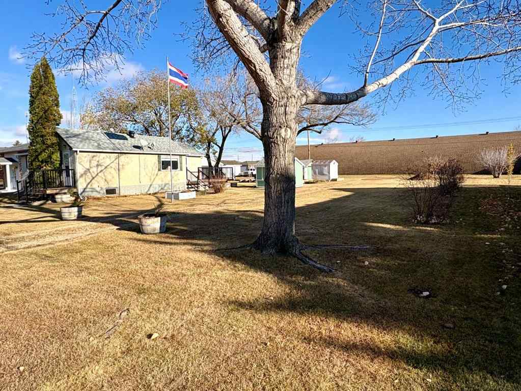 MLS® A2267093 - 216 Sanden Street  in Bawlf Bawlf, Residential