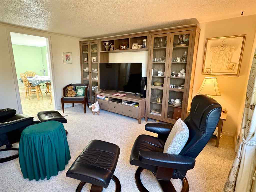 MLS® A2267093 - 216 Sanden Street  in Bawlf Bawlf, Residential