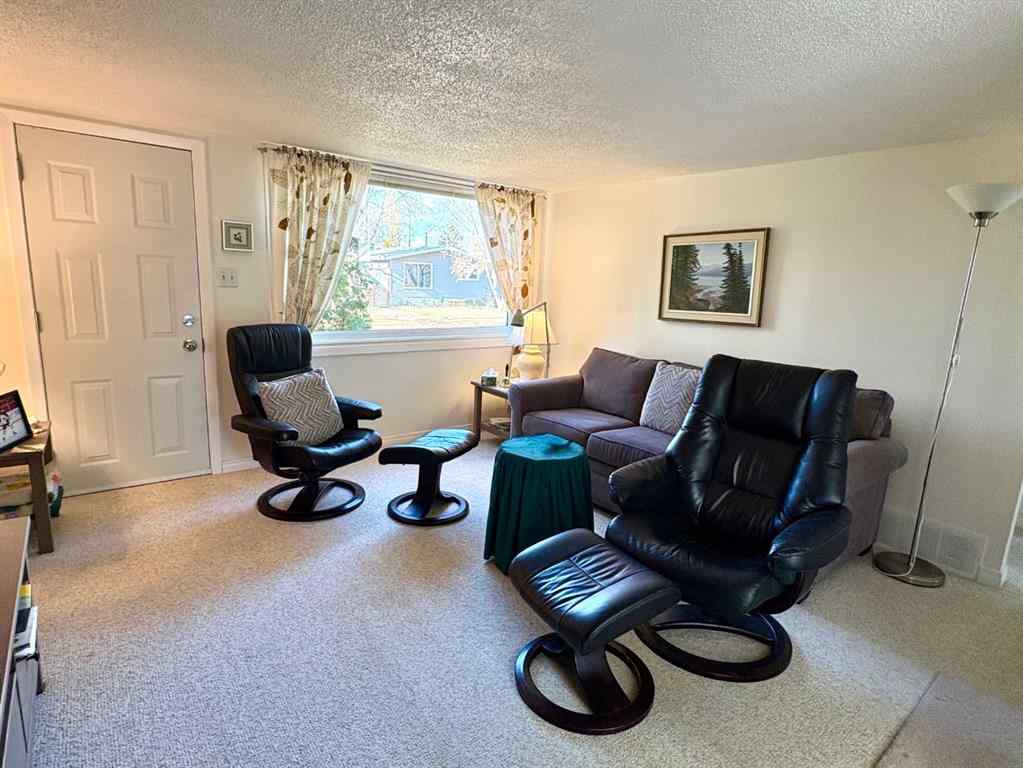 MLS® A2267093 - 216 Sanden Street  in Bawlf Bawlf, Residential