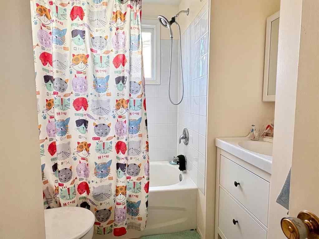 MLS® A2267093 - 216 Sanden Street  in Bawlf Bawlf, Residential