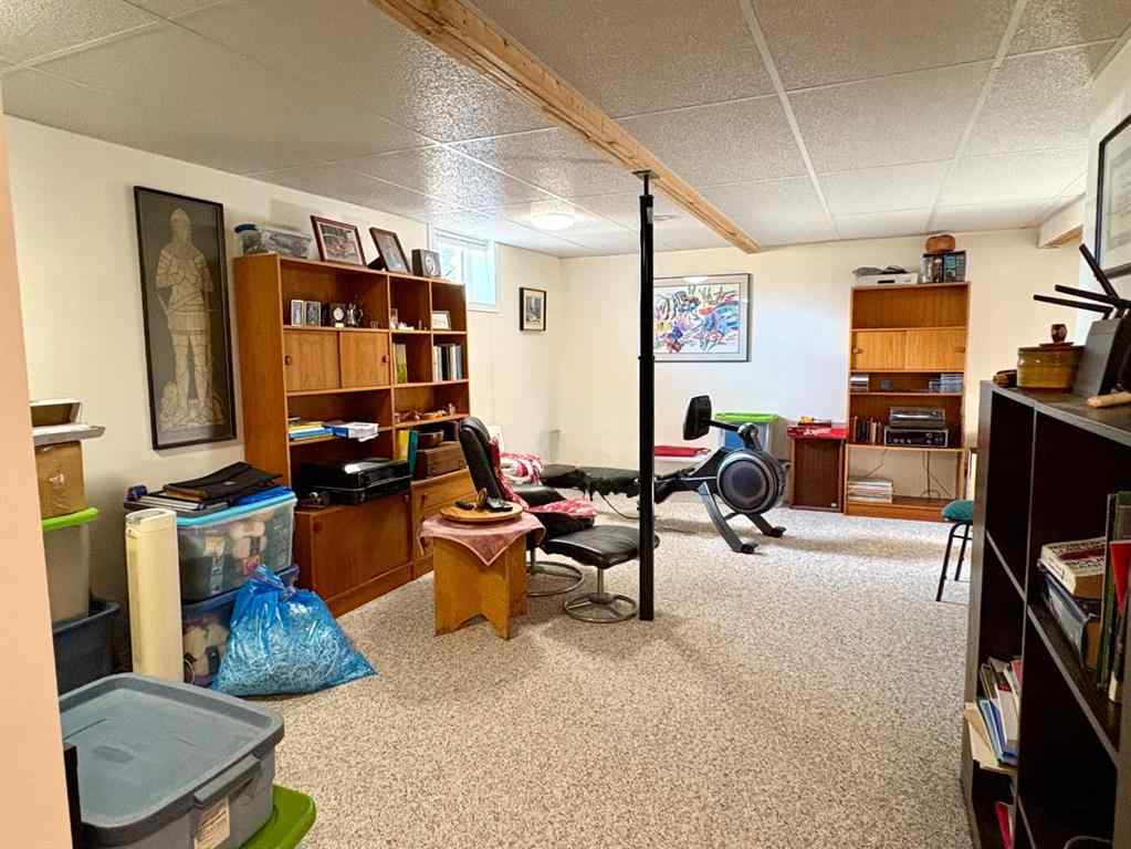 MLS® A2267093 - 216 Sanden Street  in Bawlf Bawlf, Residential