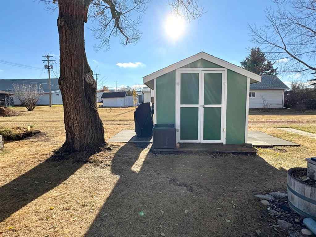 MLS® A2267093 - 216 Sanden Street  in Bawlf Bawlf, Residential