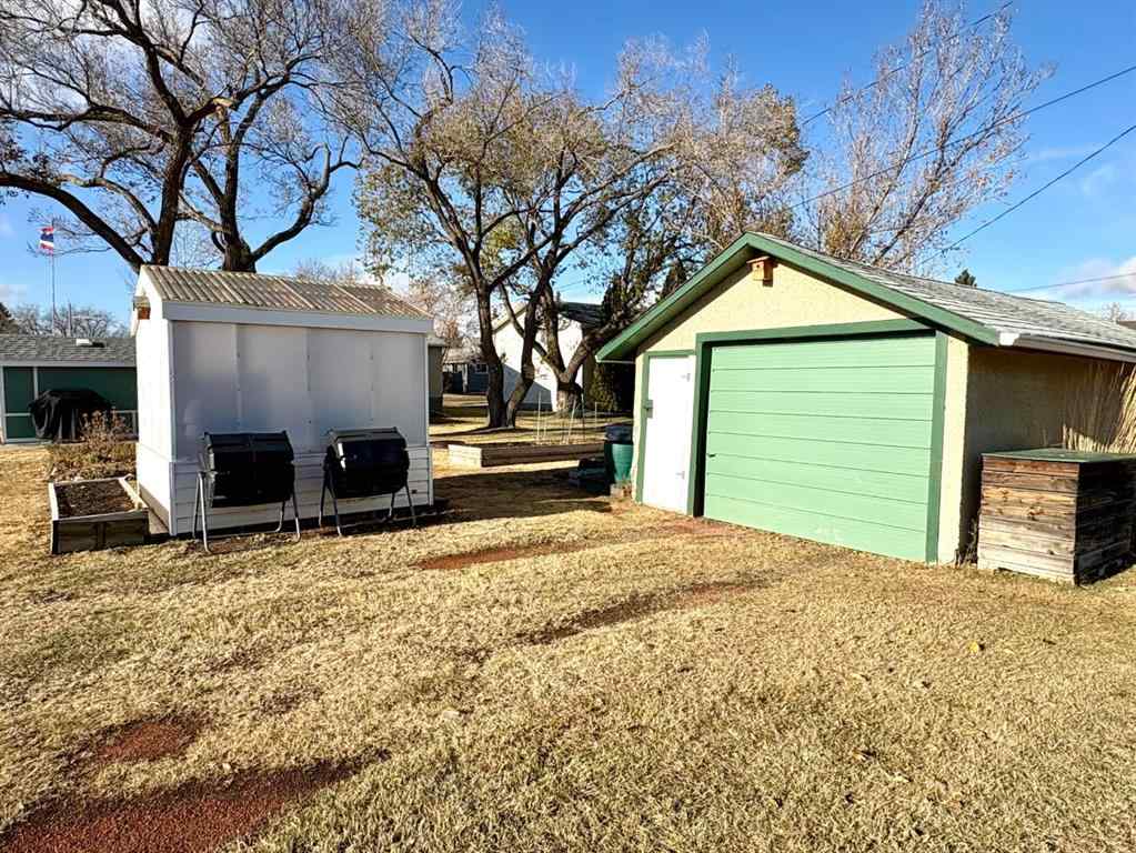 MLS® A2267093 - 216 Sanden Street  in Bawlf Bawlf, Residential