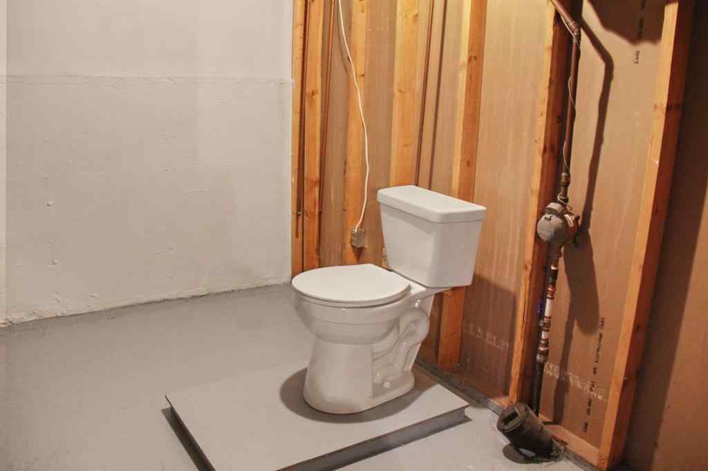 MLS® A2267094 - 5006 52 Street  in NONE Castor, Residential