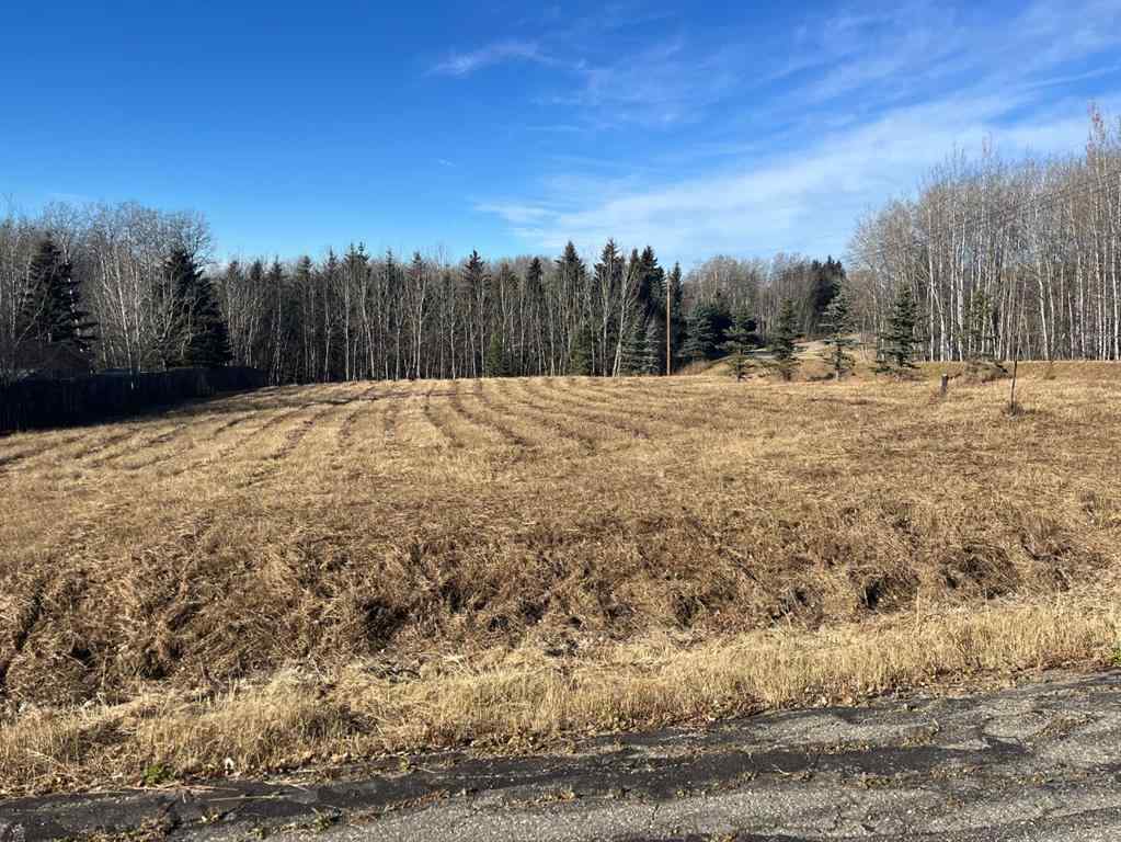 MLS® A2267150 - on Zion Road   in NONE Rural Clearwater County, Land