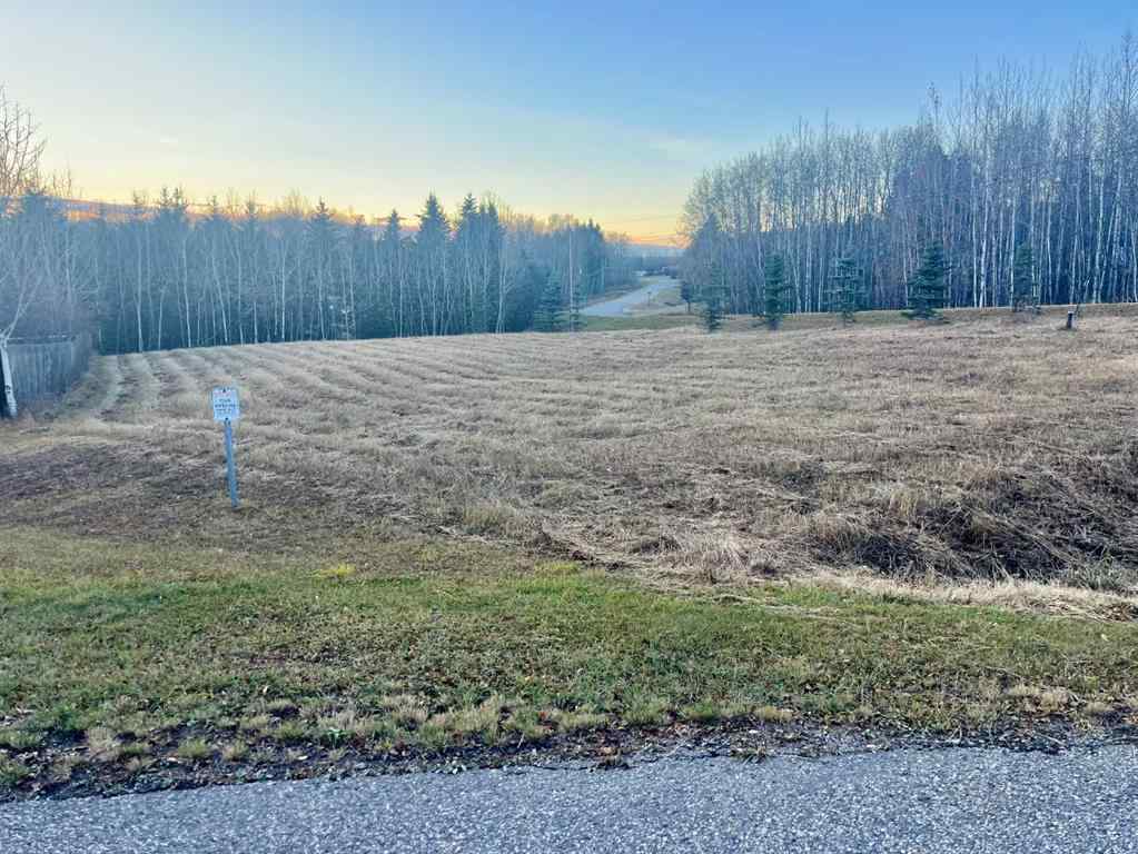 MLS® A2267150 - on Zion Road   in NONE Rural Clearwater County, Land