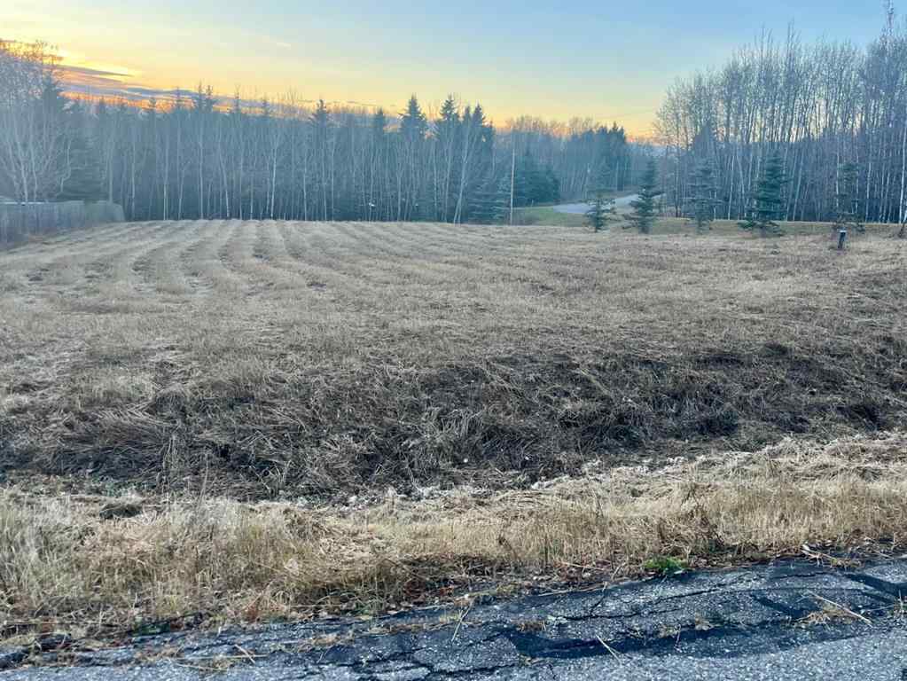 MLS® A2267150 - on Zion Road   in NONE Rural Clearwater County, Land