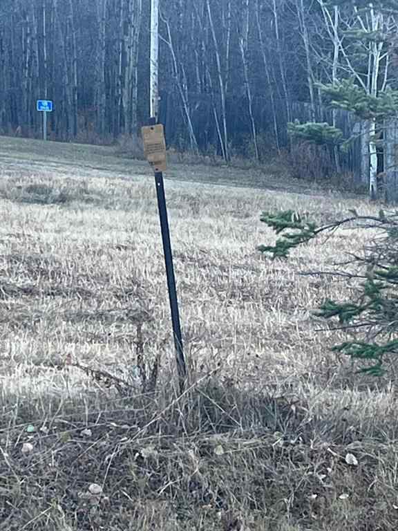 MLS® A2267150 - on Zion Road   in NONE Rural Clearwater County, Land