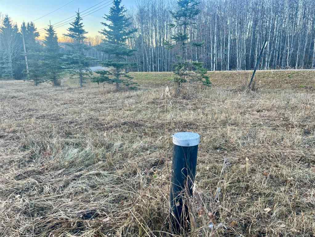 MLS® A2267150 - on Zion Road   in NONE Rural Clearwater County, Land