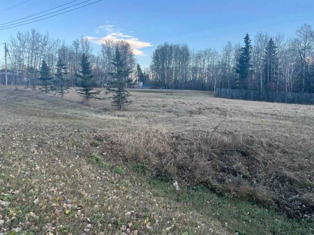 MLS® A2267150 - on Zion Road   in NONE Rural Clearwater County, Land