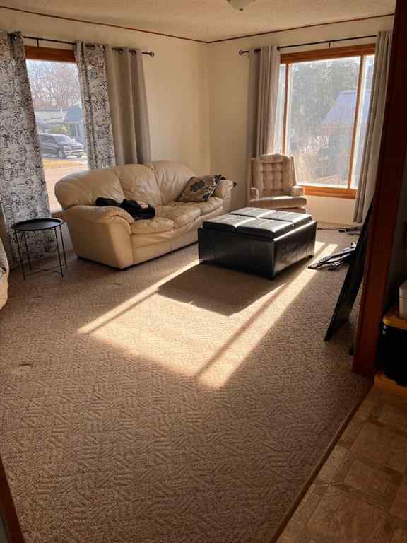 MLS® A2267218 - 529 Main Street   in NONE Milk River, Residential