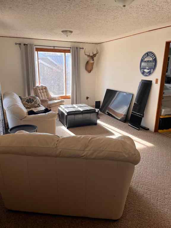 MLS® A2267218 - 529 Main Street   in NONE Milk River, Residential