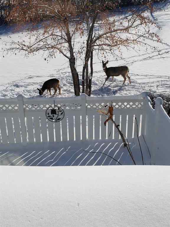 MLS® A2267237 - 24 Wood Crescent SW in Woodlands Calgary, Residential