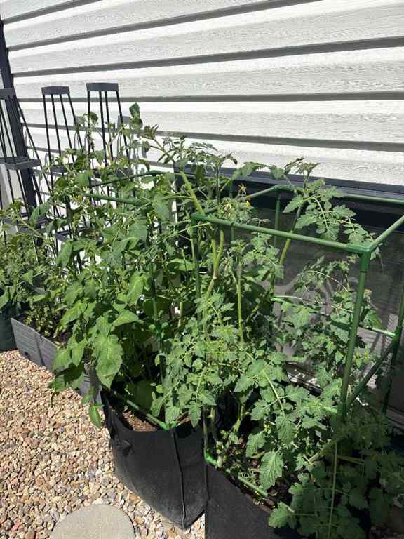 MLS® A2267244 - 143 Stapeford Crescent SE in SE Southridge Medicine Hat, Residential