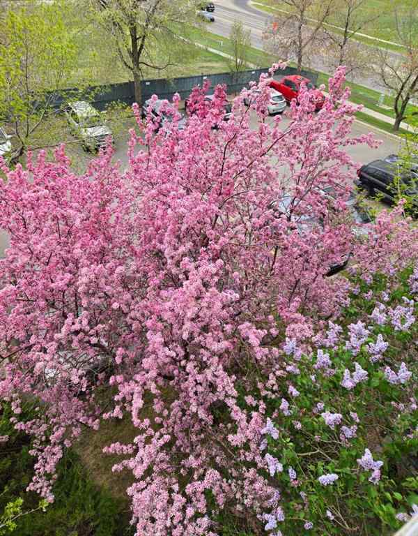 MLS® A2267257 - Unit #406 11 Dover Point SE in Dover Calgary, Residential