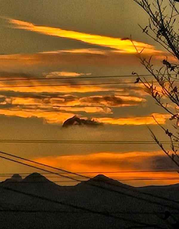 MLS® A2267257 - Unit #406 11 Dover Point SE in Dover Calgary, Residential