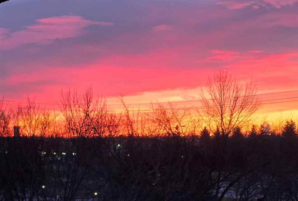 MLS® A2267257 - Unit #406 11 Dover Point SE in Dover Calgary, Residential