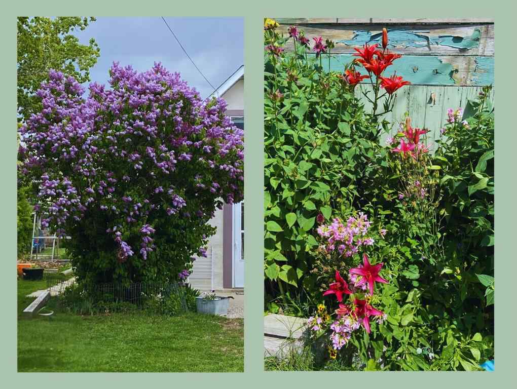 MLS® A2267316 - 119 47 Avenue W in NONE Claresholm, Residential