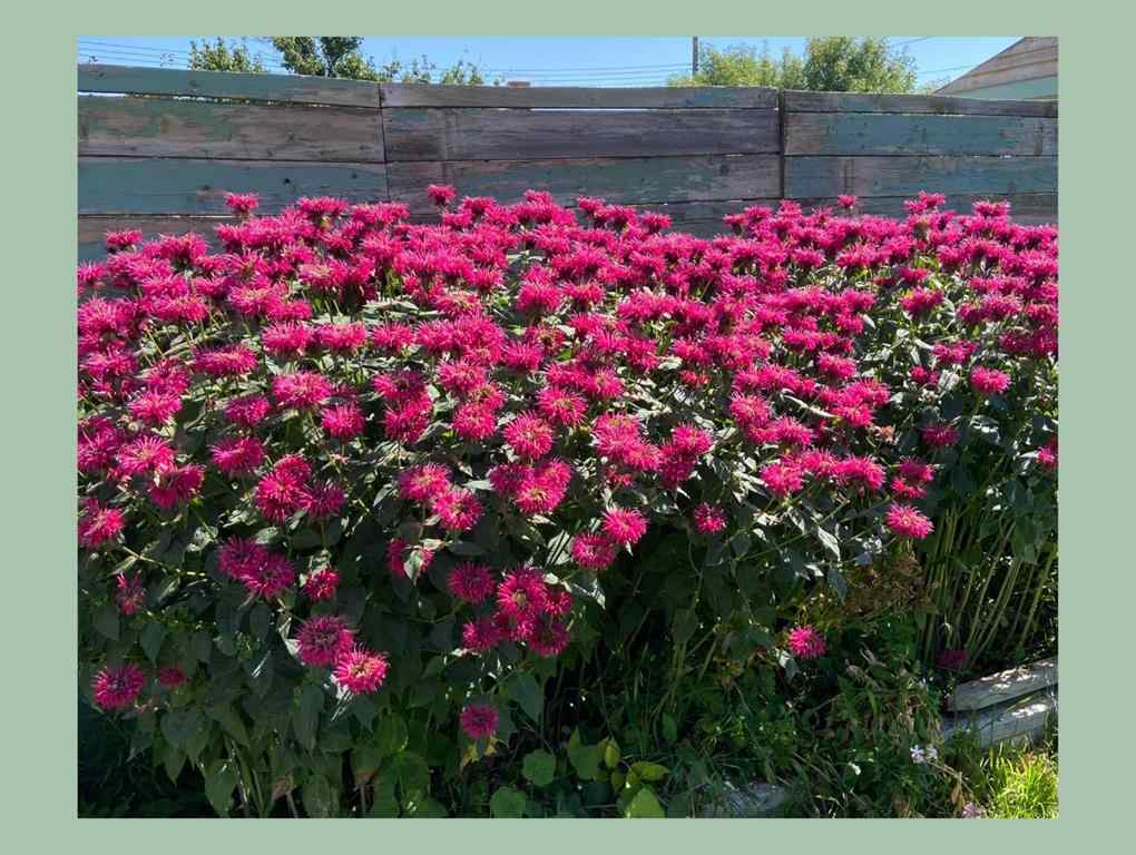 MLS® A2267316 - 119 47 Avenue W in NONE Claresholm, Residential