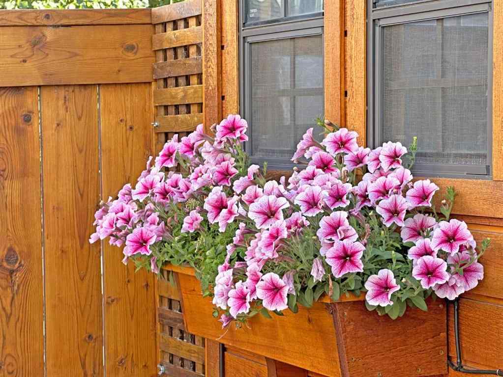 MLS® A2267411 - 85 Bridleridge Road SW in Bridlewood Calgary, Residential