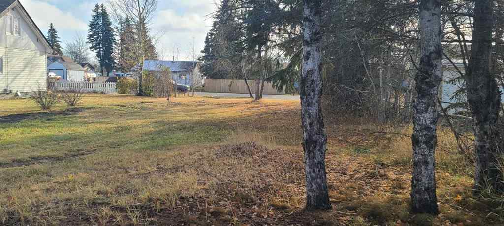 MLS® A2267451 - 208 3 Ave NE   in NONE McLennan, Land