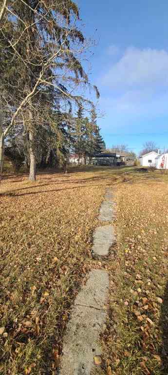 MLS® A2267451 - 208 3 Ave NE   in NONE McLennan, Land