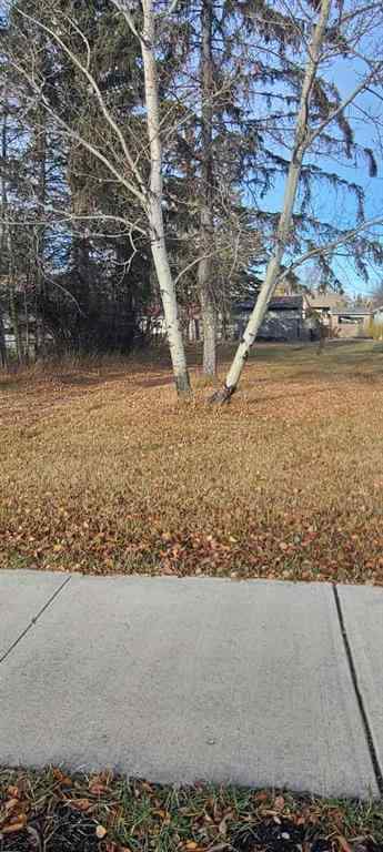 MLS® A2267451 - 208 3 Ave NE   in NONE McLennan, Land