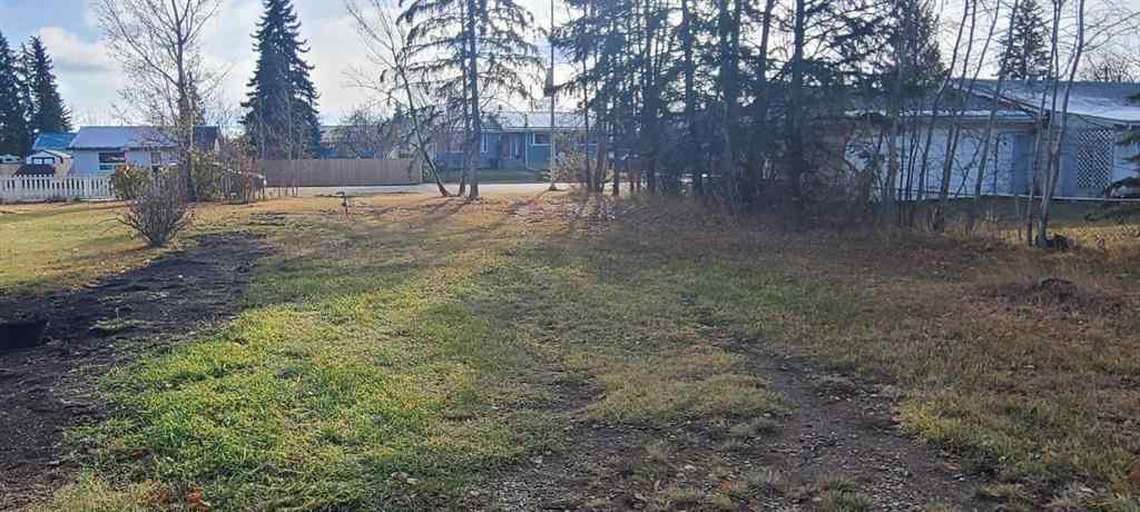 MLS® A2267451 - 208 3 Ave NE   in NONE McLennan, Land
