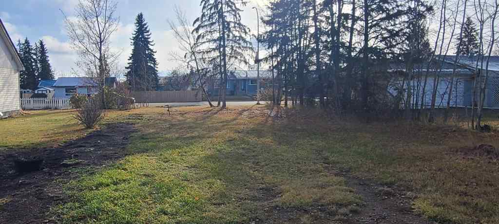 MLS® A2267451 - 208 3 Ave NE   in NONE McLennan, Land