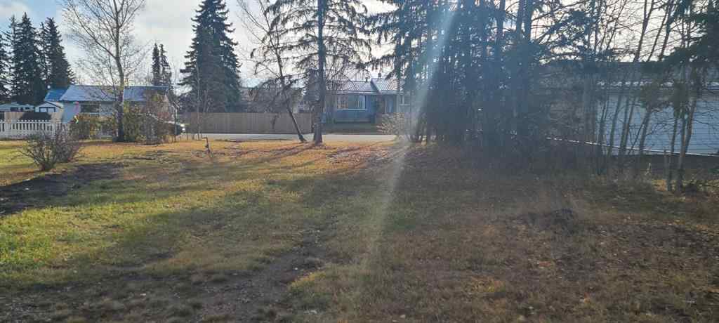 MLS® A2267451 - 208 3 Ave NE   in NONE McLennan, Land