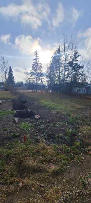 MLS® A2267451 - 208 3 Ave NE   in NONE McLennan, Land