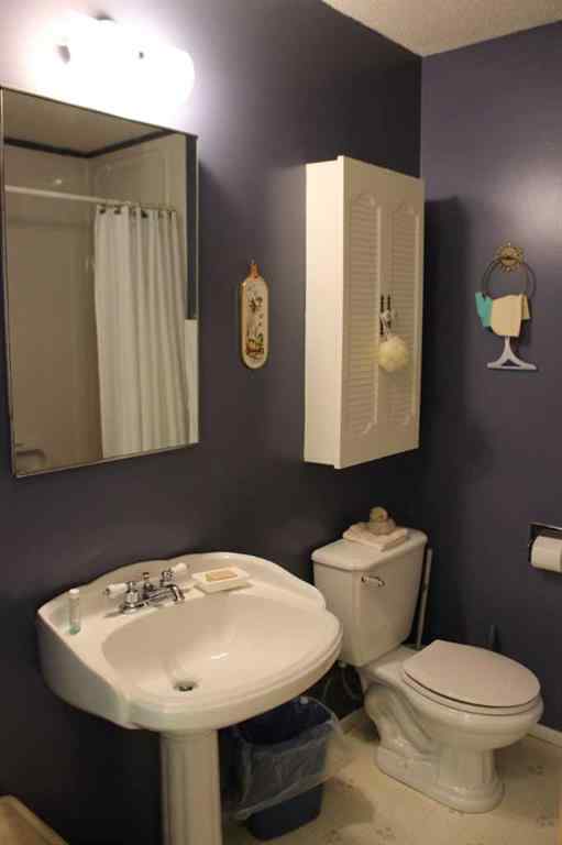 MLS® A2267452 - Unit #B 531 4 Avenue E in Central Brooks, Residential