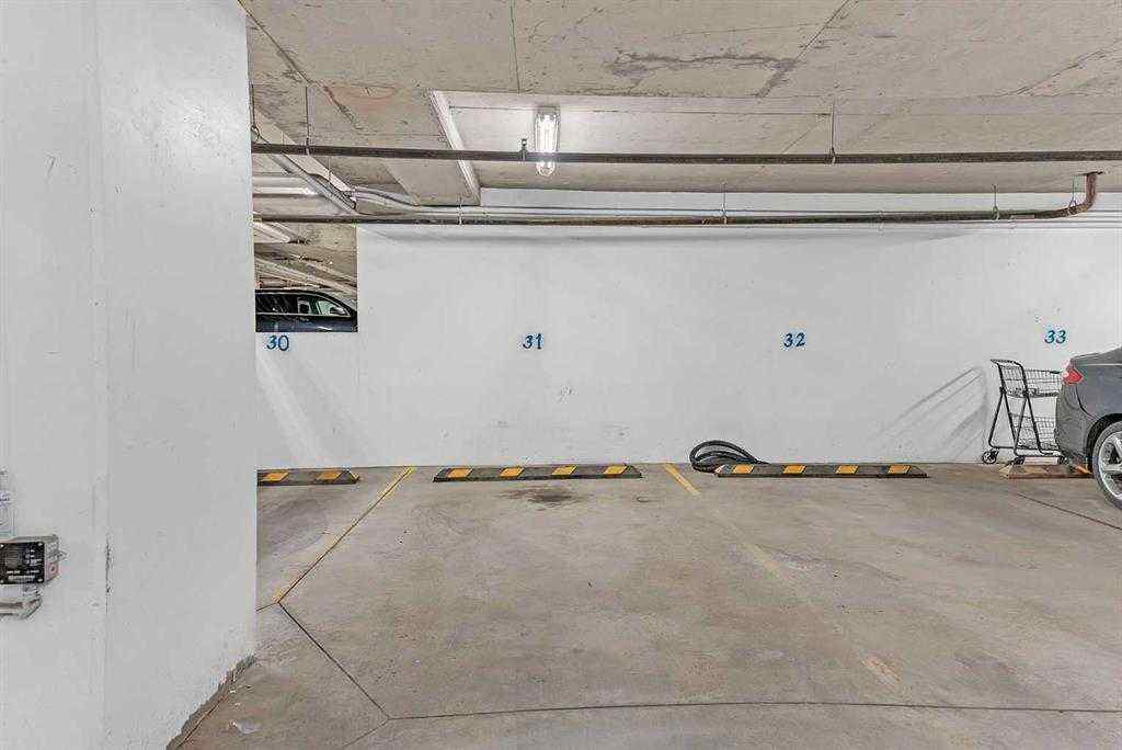 MLS® A2267456 - Unit #205 607 17 Avenue NW in Mount Pleasant Calgary, Residential