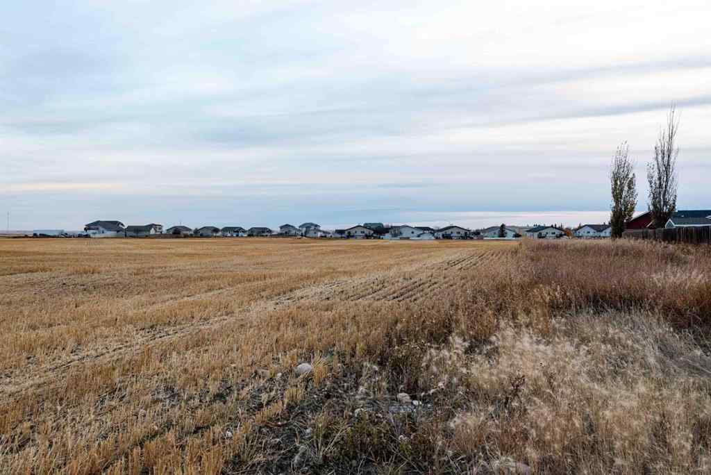 MLS® A2267534 - CLT Anderson Subdivision   in NONE Three Hills, Land