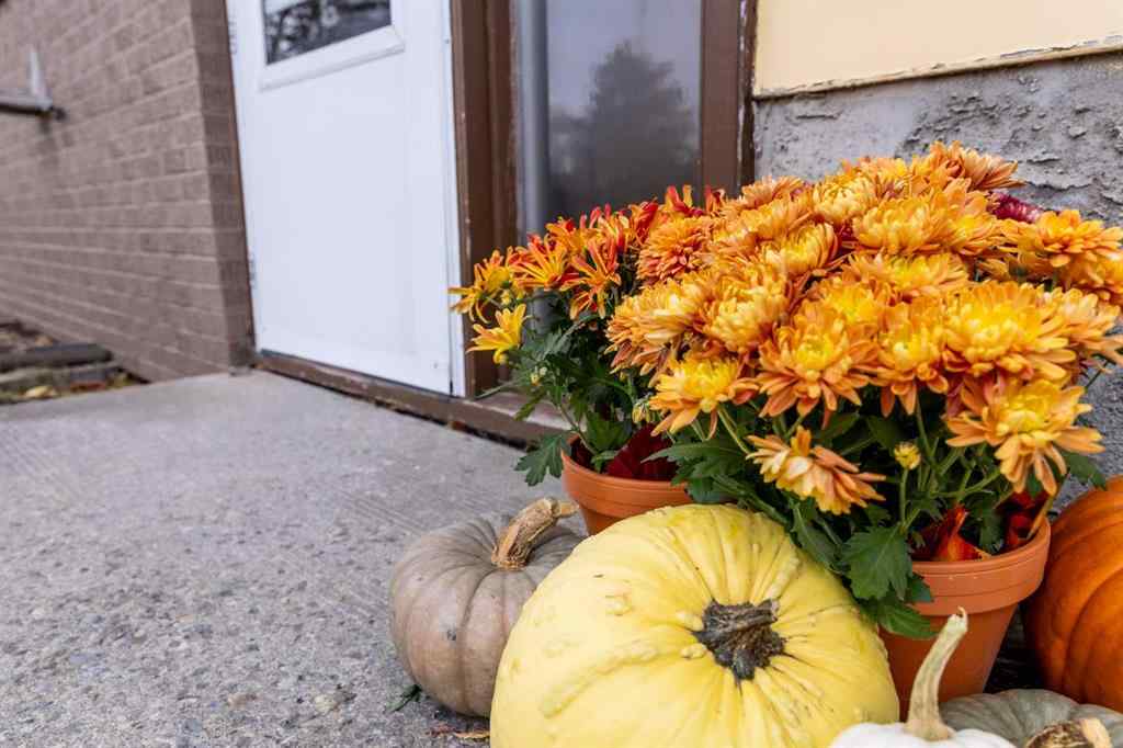 MLS® A2267608 - 21 Watson Street  in West Park Red Deer, Residential