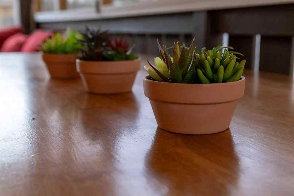 MLS® A2267608 - 21 Watson Street  in West Park Red Deer, Residential