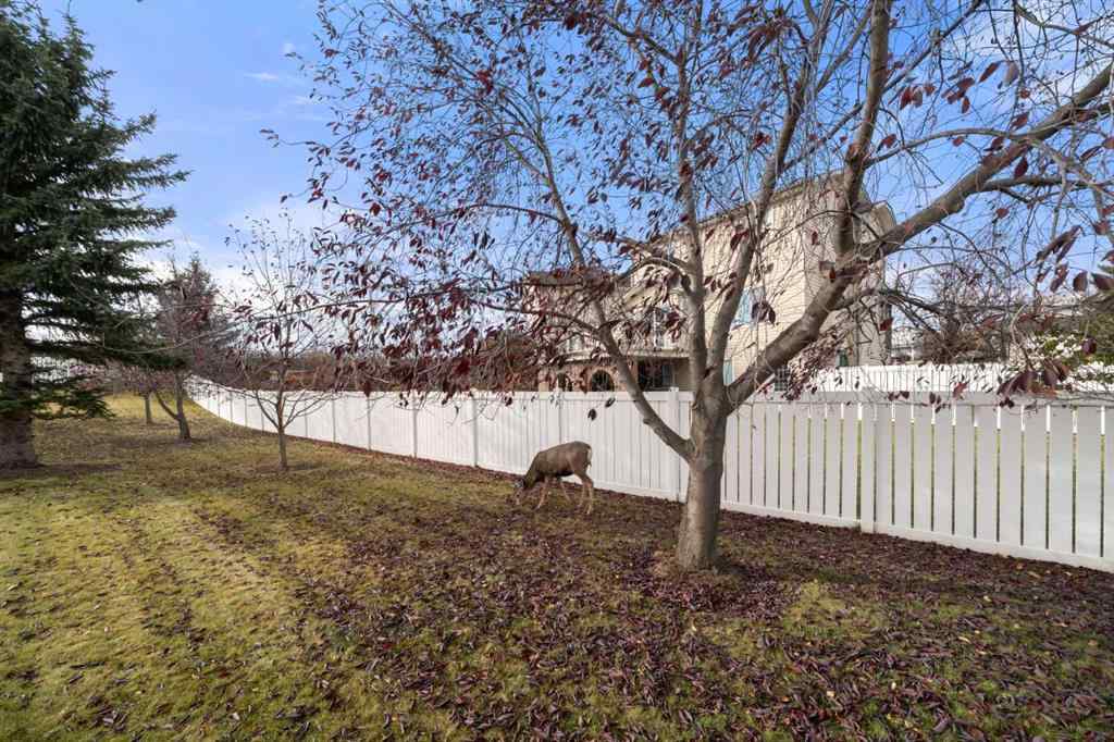 MLS® A2267612 - 634 Sheep River Mews  in Sheep River Ridge Okotoks, Residential