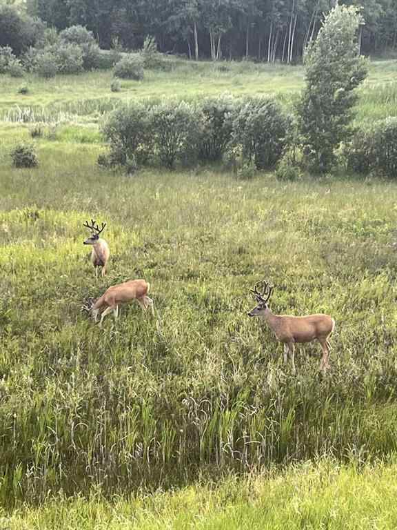 MLS® A2267726 - 51 Fireside Terrace  in Fireside Cochrane, Residential