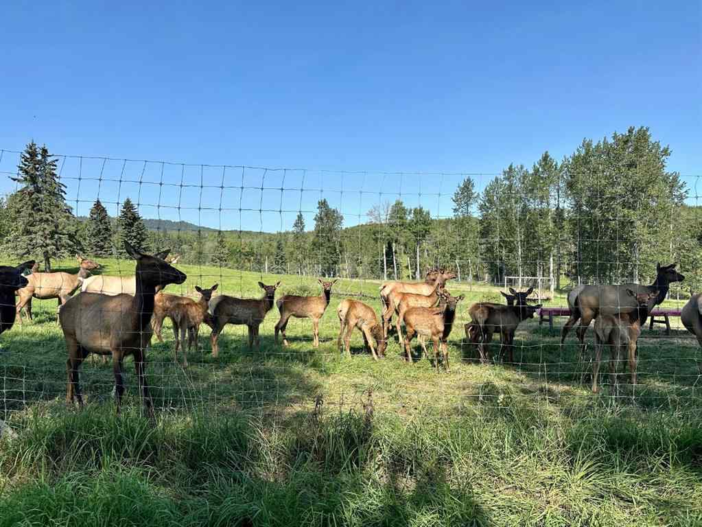 MLS® A2267747 - 583030B Range Road 121   in NONE Rural Woodlands County, Agri-Business