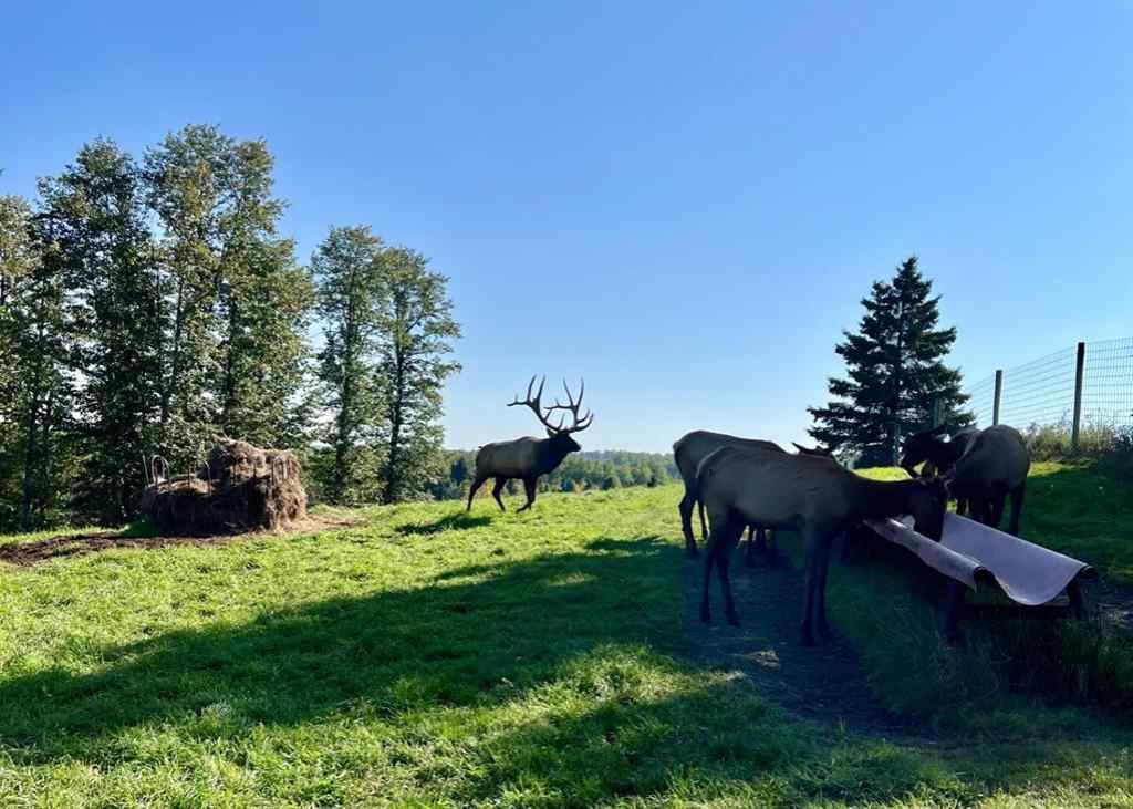 MLS® A2267747 - 583030B Range Road 121   in NONE Rural Woodlands County, Agri-Business