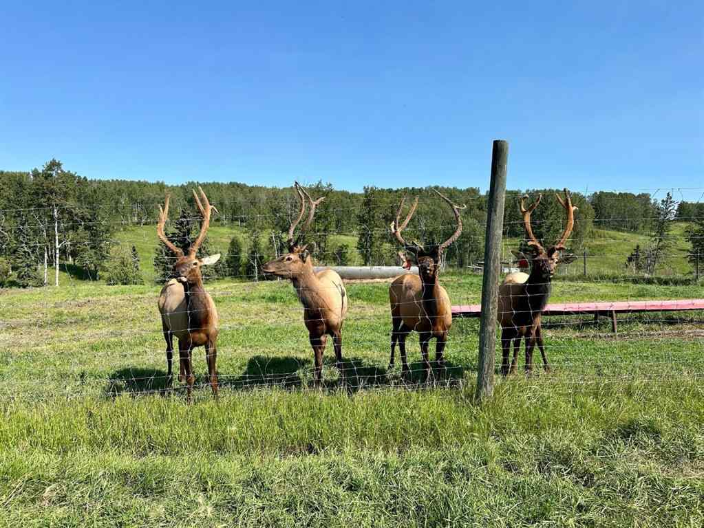 MLS® A2267747 - 583030B Range Road 121   in NONE Rural Woodlands County, Agri-Business