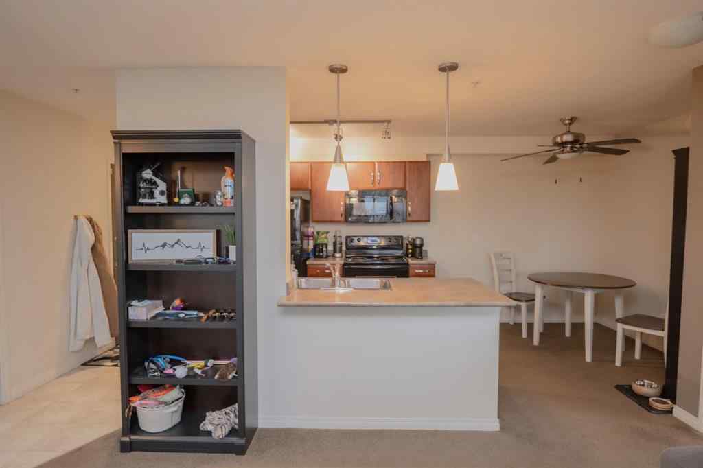 MLS® A2267814 - Unit #217 9120 96 Avenue  in Cobblestone Grande Prairie, Residential