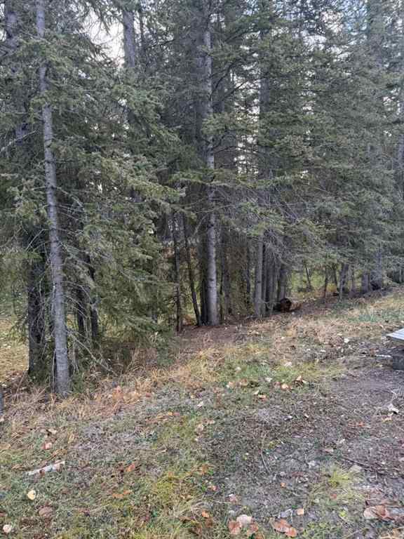 MLS® A2267821 - Unit #157 5230 Highway 27 - 20 Timber Lane   in NONE Rural Mountain View County, Land