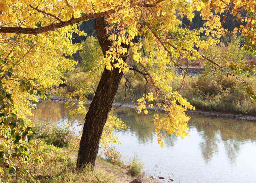 MLS® A2267899 - 357 Point Mckay Gardens NW in Point McKay Calgary, Residential