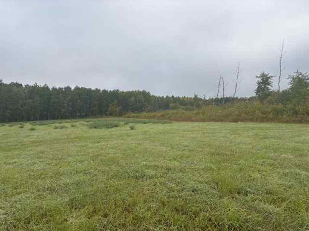 MLS® A2267950 -  NE 35-54-21 W3   in NONE Rural, Land